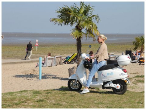 Beach Cruiser Beach Cruiser